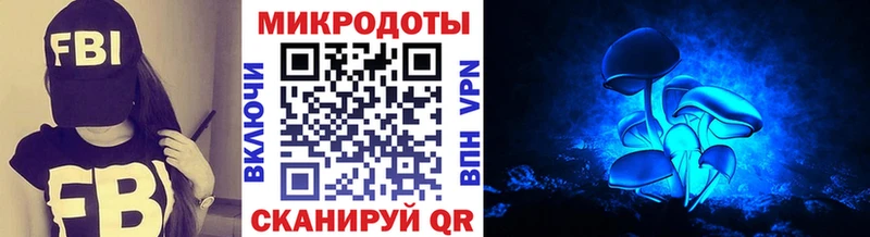Галлюциногенные грибы MAGIC MUSHROOMS Весьегонск